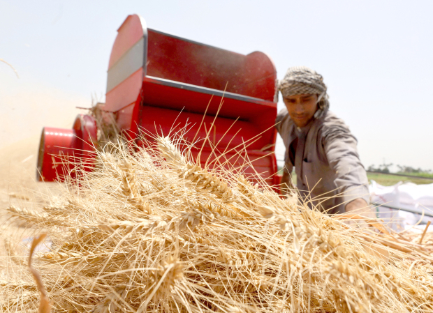 Egypt unveils New Delta project to expand farmland